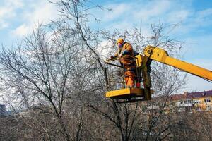 Dnepr, Ukraine - 03.20.2024 Municipal service workers stand with a chainsaw in a crane basket and trim dangerous trees photo