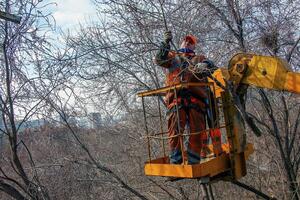 Dnepr, Ukraine - 03.20.2024 Municipal service workers stand with a chainsaw in a crane basket and trim dangerous trees photo