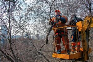 Dnepr, Ukraine - 03.20.2024 Municipal service workers stand with a chainsaw in a crane basket and trim dangerous trees photo