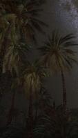 Night scene with silhouette hut and coconut tree with Milky Way Galaxy in sky video