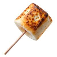 Perfectly toasted marshmallow on a stick, ready for smores or a sweet treat photo