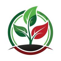 Green Plant Growing in Soil With Circle and Red Leaf vector