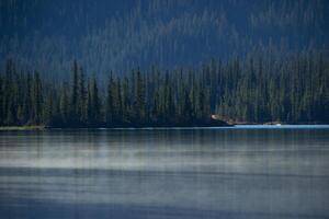 Bow Lake at sunrise surrounded by pine trees photo