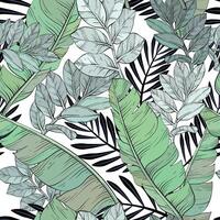 Banana and palm jungle leaves pattern design, tropical print vector