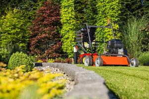 Lawn Aerating Using Gasoline Powered Aerator Machine photo