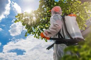 Gardener Spraying Tree With Protective Suit photo