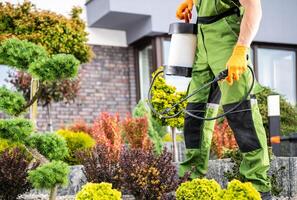 Gardener Wearing Protective Suit Spraying Pesticide on Tree photo