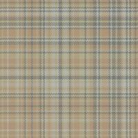Tartan plaid pattern seamless. Print fabric texture. Check background. vector
