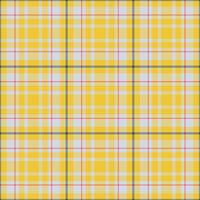 Plaid seamless pattern. background of textile ornament. Flat fabric design. vector