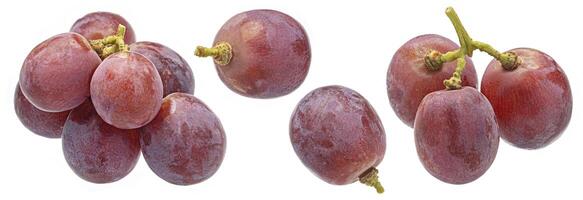 Red grape isolated on white background photo