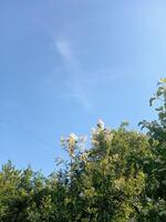 Sky with claude and sun, summer day nature background photo