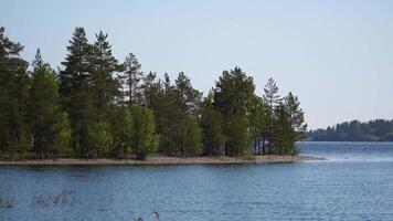 un hermosa ver de un pequeño pino cubierto de árboles isla en lago ladoga, rodeado por claro azul aguas y un brillante cielo. Perfecto para naturaleza, viajar, y al aire libre aventuras temas video
