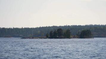 un hermosa ver de un pequeño pino cubierto de árboles isla en lago ladoga, rodeado por claro azul aguas y un brillante cielo. Perfecto para naturaleza, viajar, y al aire libre aventuras temas video