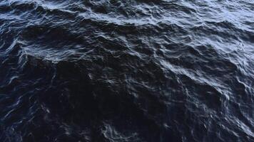 Sunlight sparkles on the gentle ripples of a clear stream, creating a mesmerizing pattern on the water's surface. This serene image captures the tranquil beauty of nature video