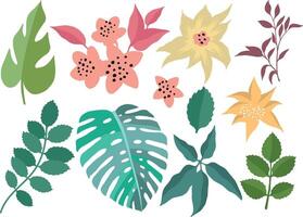 Floral collection. Set of simple abstract flowers vector
