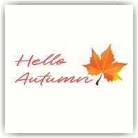 Hello Autumn Handwriting lettering with gold maple leave on note sticker page. Greeting cards design concept. Simple red vector