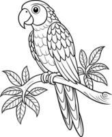 Parrot on Branch Coloring Page for Teens - Simple Outline vector