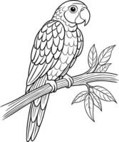 Parrot Coloring Page for Teens - Simple Outline vector