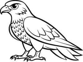 Hawk Coloring Page for Kids - Simple Outline vector