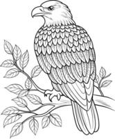 Eagle on Branch Coloring Page for Teens - Simple Outline vector
