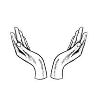 Hands. Black and white hand-drawn graphics. illustration of two open palms in an elegant gesture of offering, symbolizing care and generosity. Isolate on a white background. For logos, emblems. vector