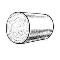 A roll of organic cotton harvest. Black and white, detailed, graphic, illustration in the form of a rolled cotton roll. Isolate, hand-drawn on a white background vector