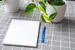 An empty mock up notebook with a pen on a table with home potted plants. Recording recommendations for plant care photo
