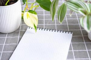 An empty mock up notebook with a pen on a table with home potted plants. Recording recommendations for plant care photo
