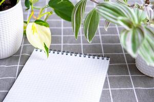 An empty mock up notebook with a pen on a table with home potted plants. Recording recommendations for plant care photo