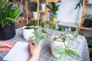 An empty mock up notebook with a pen on a table with home potted plants. Recording recommendations for plant care photo