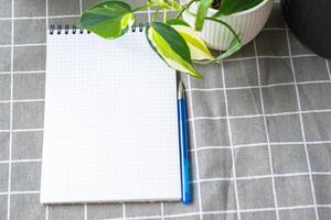 An empty mock up notebook with a pen on a table with home potted plants. Recording recommendations for plant care photo
