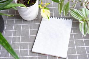 An empty mock up notebook with a pen on a table with home potted plants. Recording recommendations for plant care photo