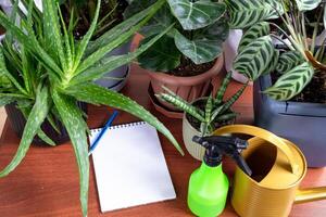 An empty mock up notebook with a pen on a table with home potted plants. Recording recommendations for plant care photo