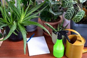 An empty mock up notebook with a pen on a table with home potted plants. Recording recommendations for plant care photo