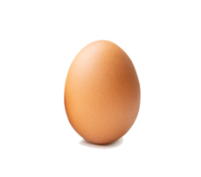 Front view of single fresh brown chicken egg isolated with clipping path in file format png