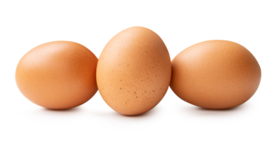 Front view of brown chicken eggs in stack isolated with clipping path in file format png