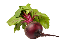 a beet on a transparent background png