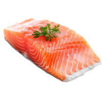 Fresh Salmon Fillet with Parsley on Isolated Background. png