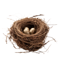 Bird's Nest With Three Eggs On Isolated Background. png