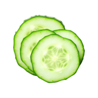 fresco fatia pepino isolado em transparente fundo png