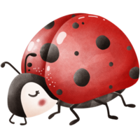 ThePosture of a Little ladybug png