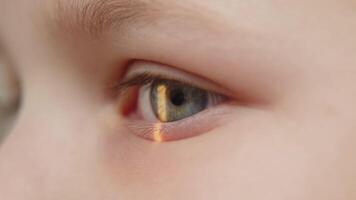 œil iris et élève macro. réfléchi en mouvement lumière des rayons dans le enfant œil avec Zoom. proche en haut. le concept de ophtalmologie et médicament. médical présence à le optométriste dans une brillant moderne clinique video
