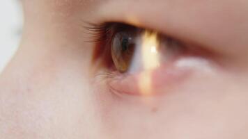 œil iris et élève macro. réfléchi en mouvement lumière des rayons dans le enfant œil avec Zoom. proche en haut. le concept de ophtalmologie et médicament. médical présence à le optométriste dans une brillant moderne clinique video