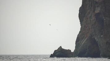 Cormorants flock flying in formation to save energy. Flock of Great Cormorants - Phalacrocorax carbo. School of black migratory birds flies in cloudy sky over the sea along the coast. Slow motion. video