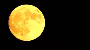 Glowing yellow huge full moon as seen from earth through the clouds against starry night sky. Large full moon moves across the sky, moon makes its way from bottom left frame to top right. video
