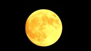 Glowing yellow huge full moon as seen from earth through the clouds against starry night sky. Large full moon moves across the sky, moon makes its way from bottom left frame to top right. video
