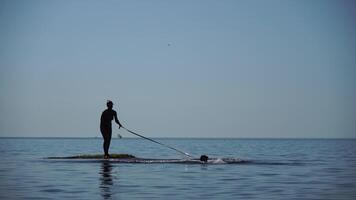 A dog with lady owner plays in catch stick standing on a rock in the water. Silhouette Doberman with a leash plays in calm sea water on hot summer. video