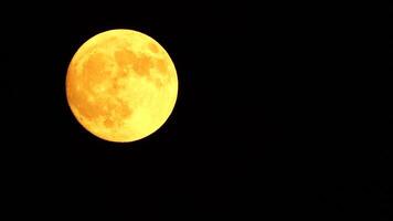 Glowing yellow huge full moon as seen from earth through the clouds against starry night sky. Large full moon moves across the sky, moon makes its way from bottom left frame to top right. video