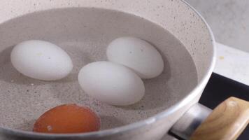 Boiled eggs in a saucepan on ceramic hob video