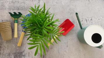 Gardening tools and flower pots with plants on a table video